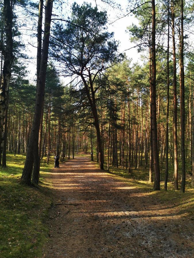 M&K Apartamenty - Słomkowe Kapelusze Gdańsk Zewnętrze zdjęcie